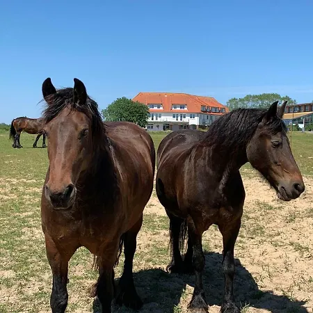 Moderne Im Auf Ruegen Apartman *